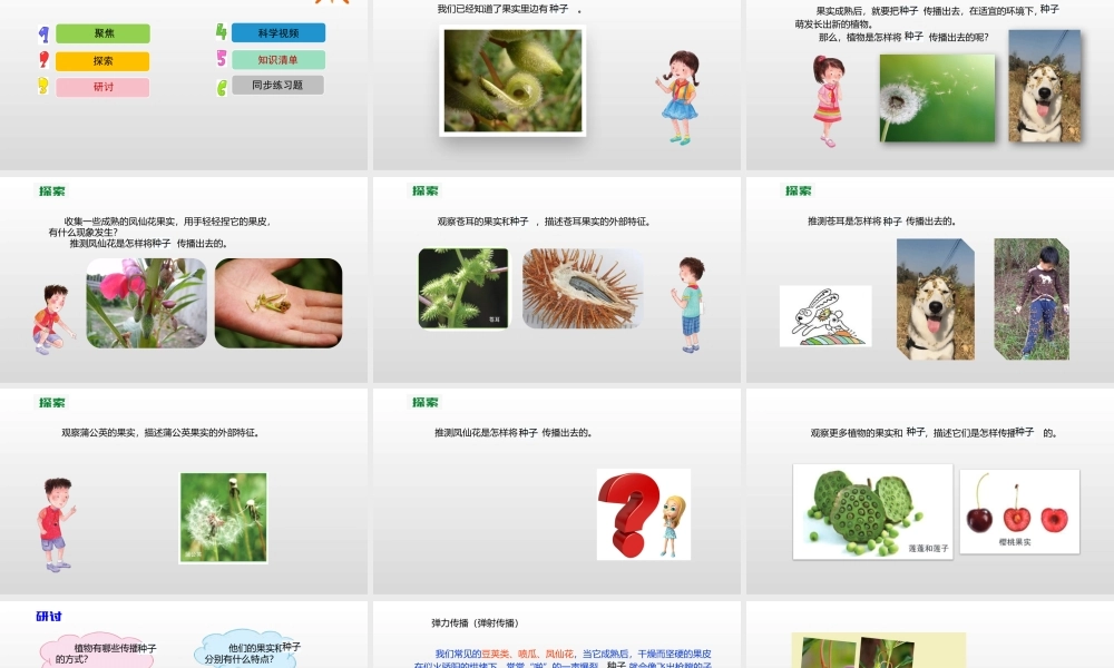 2022年教科版小学四年级下册《科学》第一单元植物的生长变化第7课时种了的传播课件.pptx