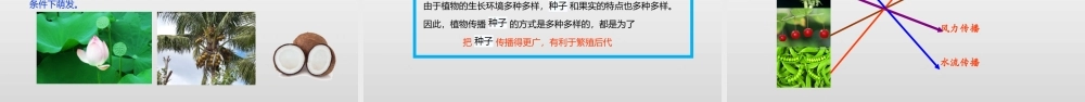 2022年教科版小学四年级下册《科学》第一单元植物的生长变化第7课时种了的传播课件.pptx