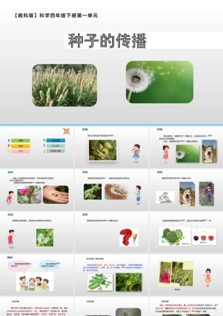 2022年教科版小学四年级下册《科学》第一单元植物的生长变化第7课时种了的传播课件.pptx