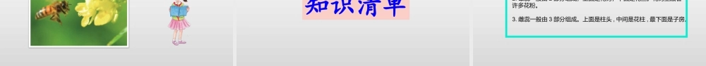 2022年教科版小学四年级下册《科学》第一单元植物的生长变化第5课时凤仙花开花了课件.pptx