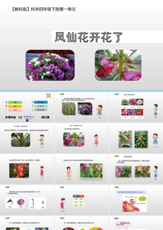 2022年教科版小学四年级下册《科学》第一单元植物的生长变化第5课时凤仙花开花了课件.pptx