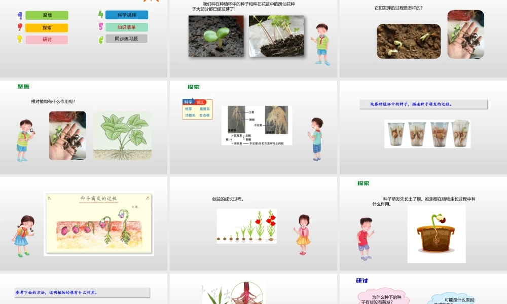 2022年教科版小学四年级下册《科学》第一单元植物的生长变化第3课时种子长出了根课件.pptx