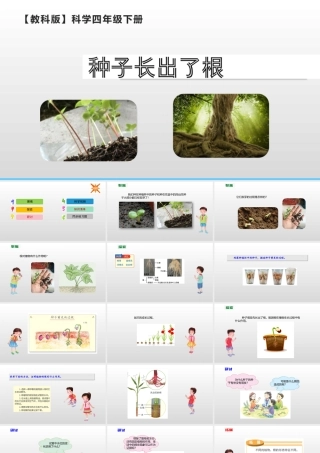 2022年教科版小学四年级下册《科学》第一单元植物的生长变化第3课时种子长出了根课件.pptx