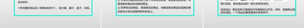 2022年教科版小学四年级下册《科学》第一单元植物的生长变化第6课时种子与果实课件.pptx