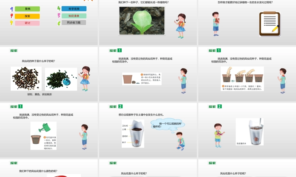 2022年教科版小学四年级下册《科学》第一单元植物的生长变化第2课时种植凤仙花课件.pptx