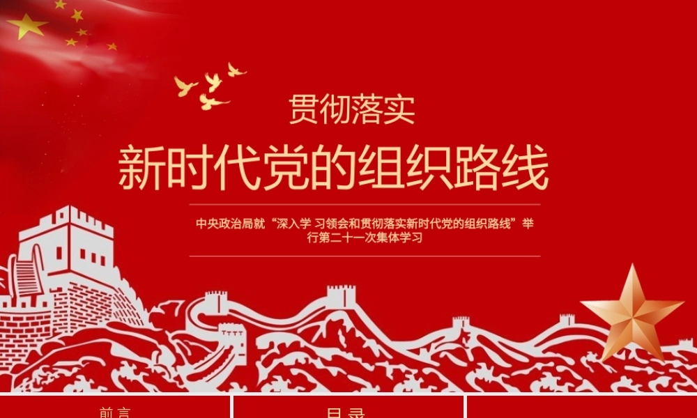 贯彻落实新时代党的组织路线.pptx
