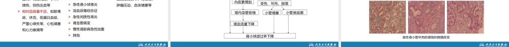 第十二章 泌尿系统疾病 第七节-第九节.pptx