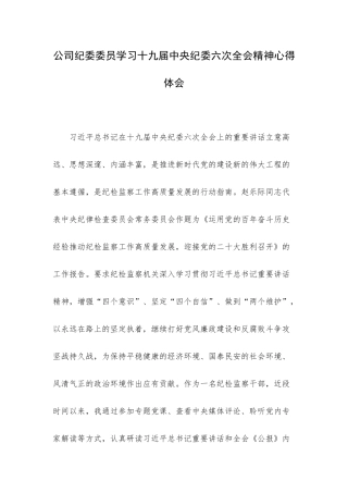 公司纪委委员学习十九届中央纪委六次全会精神心得体会.docx