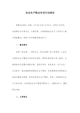 安全生产整治专项行动报告.docx