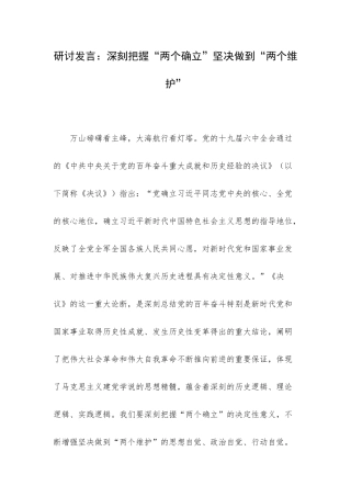 研讨发言：深刻把握“两个确立”坚决做到“两个维护”.docx