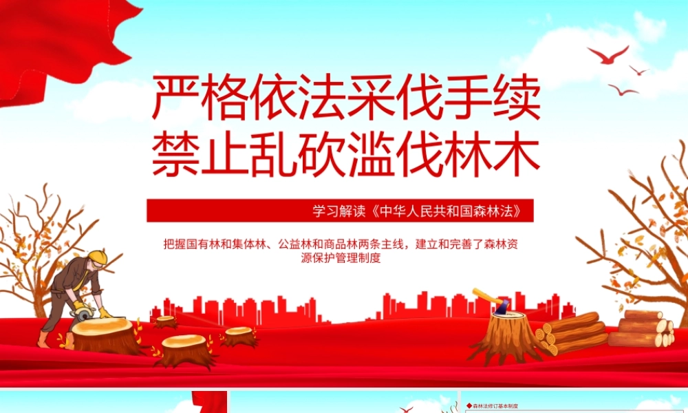 学习《中华人民共和国森林法》严格依法采伐手续禁止乱砍滥伐林木PPT课件（带内容）.ppt