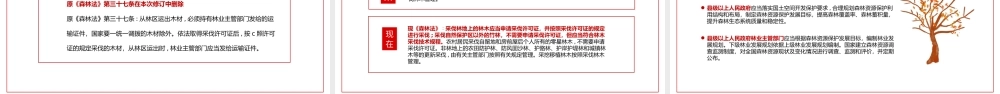 学习《中华人民共和国森林法》严格依法采伐手续禁止乱砍滥伐林木PPT课件（带内容）.pptx