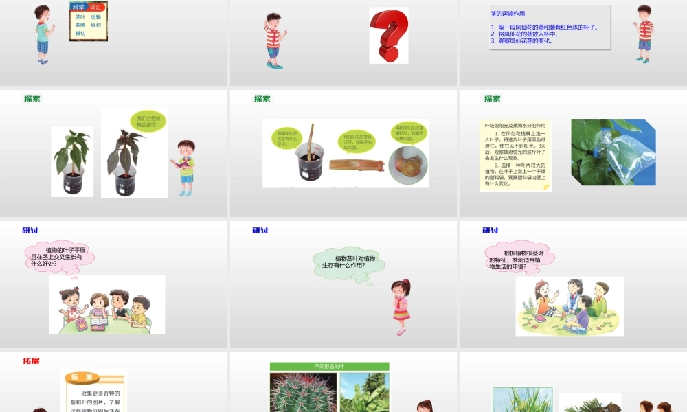 2022年教科版小学四年级下册《科学》第一单元植物的生长变化第4课时茎和叶课件.pptx