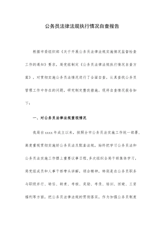 公务员法律法规执行情况自查报告.docx