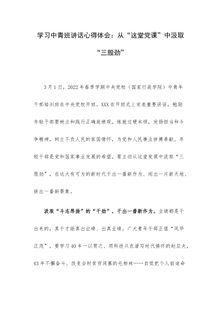 学习中青班讲话心得体会：从“这堂党课”中汲取“三股劲”.docx