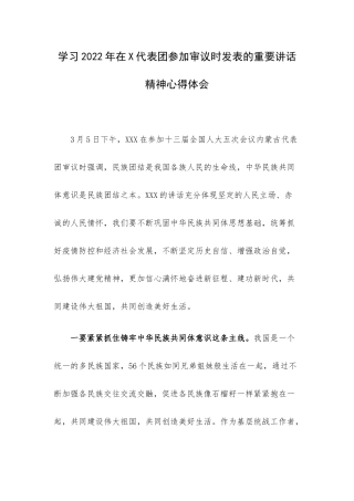 学习2022年在X代表团参加审议时发表的重要讲话精神心得体会.docx