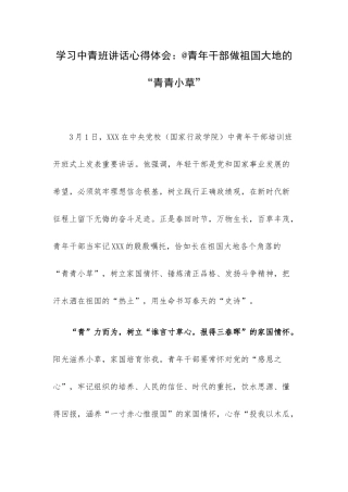 学习中青班讲话心得体会：@青年干部做祖国大地的“青青小草”.docx