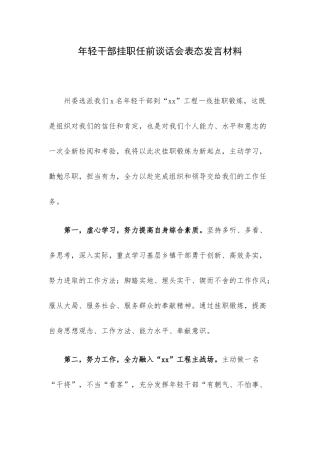 年轻干部挂职任前谈话会表态发言材料.docx