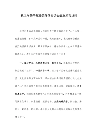 机关年轻干部挂职任前谈话会表态发言材料.docx