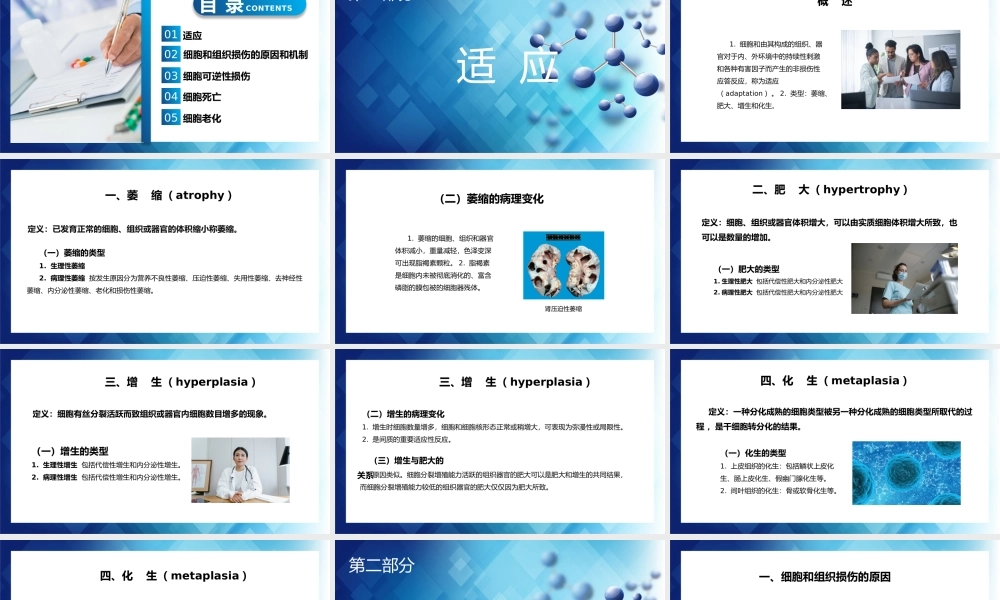 细胞和组织的适应与损伤医学汇报PPT下载.pptx