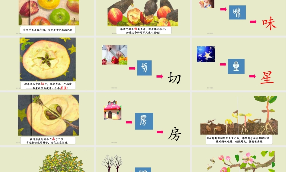 识字8——谢谢你小苹果.PPTX