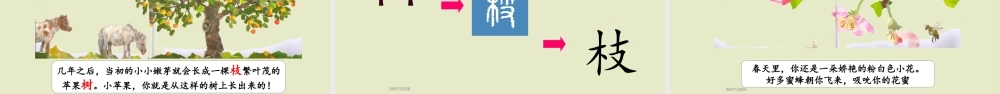 识字8——谢谢你小苹果.PPTX
