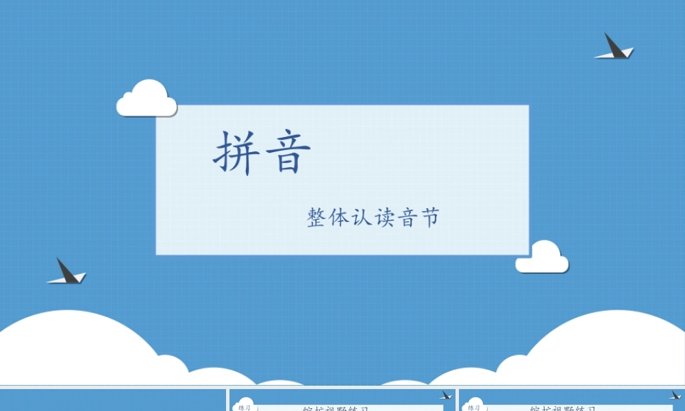 幼儿园大班 第十二讲 整体认读音节.ppt