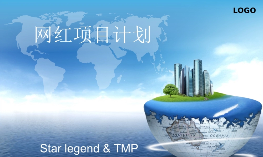 网红项目计划书.ppt