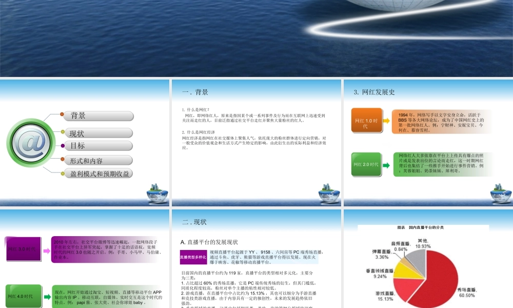 网红项目计划书.ppt