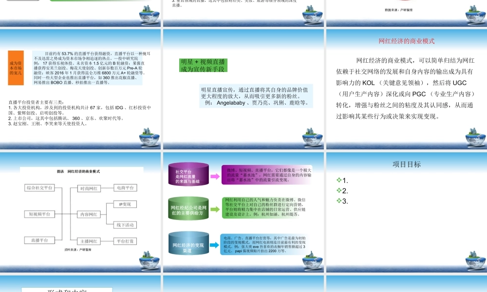 网红项目计划书.ppt