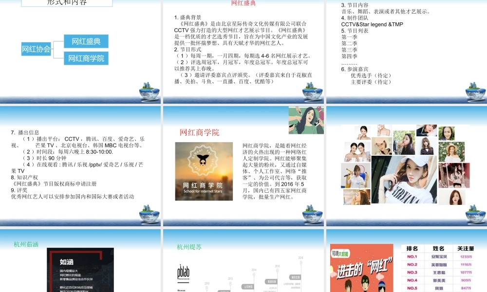 网红项目计划书.ppt