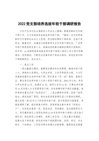 2022党支部培养选拔年轻干部调研报告.docx