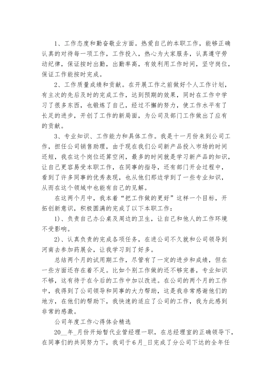 公司年度工作心得体会三篇.docx_第2页