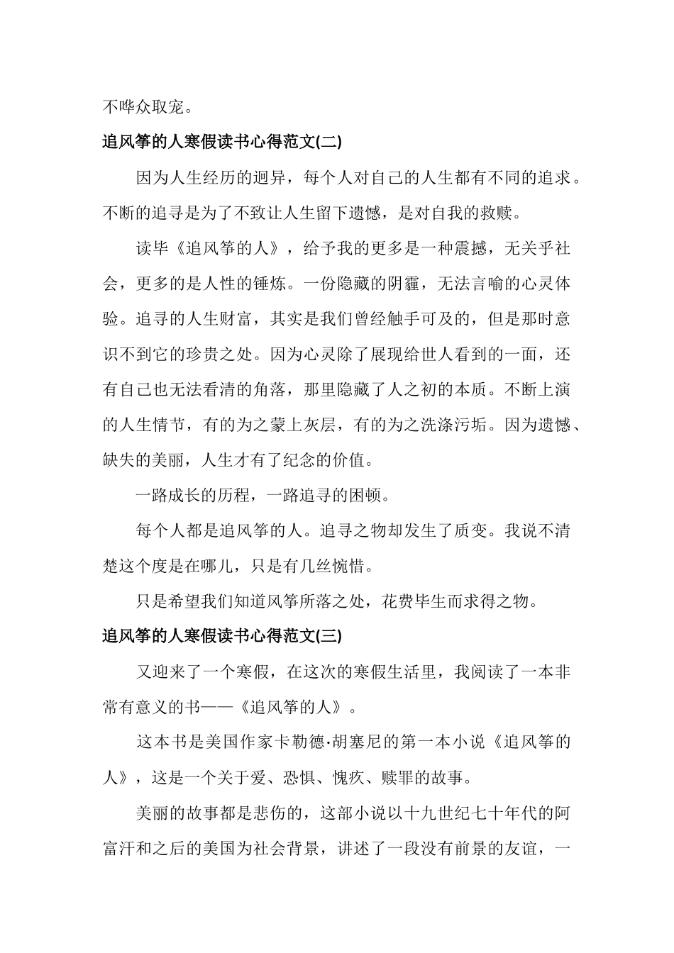 《追风筝的人》寒假读书心得范文.docx_第2页