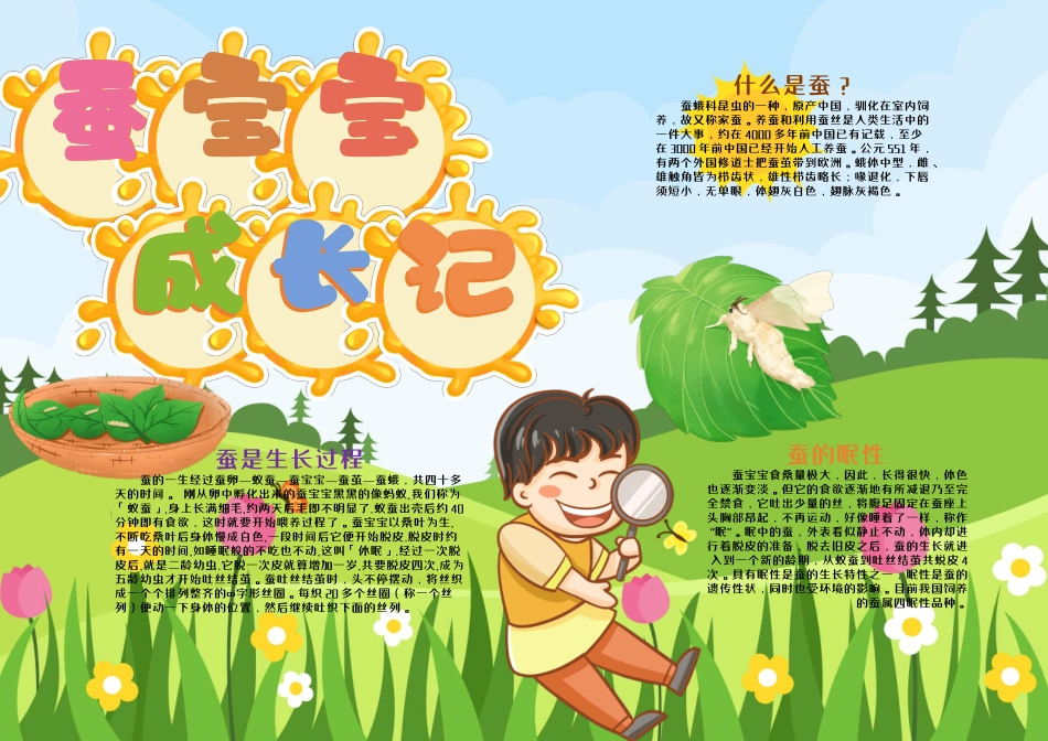 蚕宝宝观察日记手抄报小报.docx_第1页