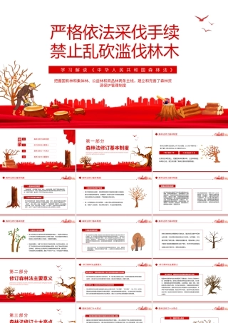 学习解读《森林法》严格依法采伐手续禁止乱砍滥伐林木PPT课件（带内容）.pptx