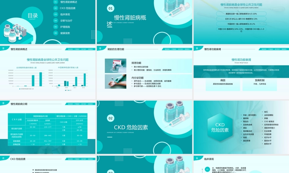 肾炎肾衰竭肾病护理查房PPT课件（带内容）.ppt