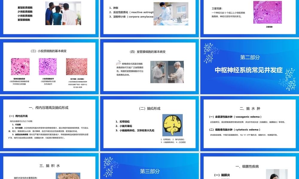 医学病理神经系统疾病PPT模板.pptx