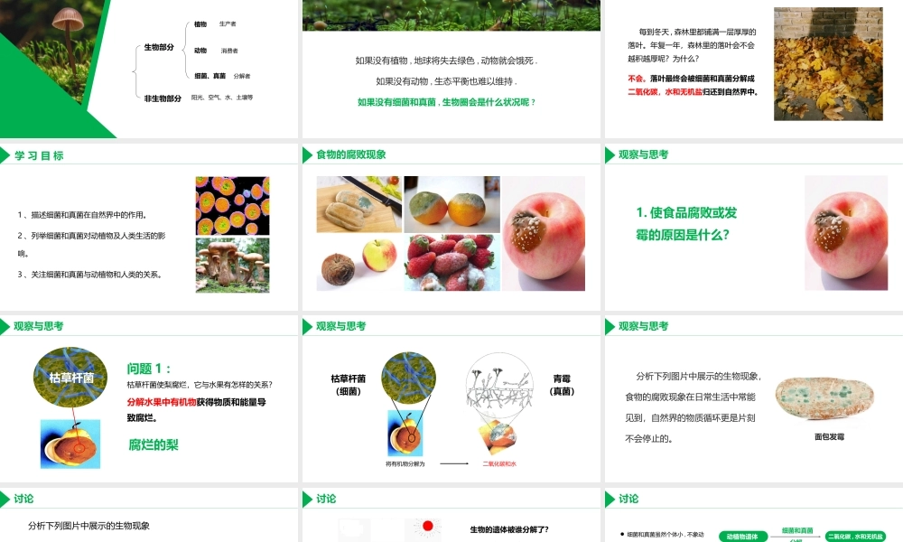 人教版八年级生物上册第四章第四节细菌和真菌在自然界的作用PPT模板.pptx