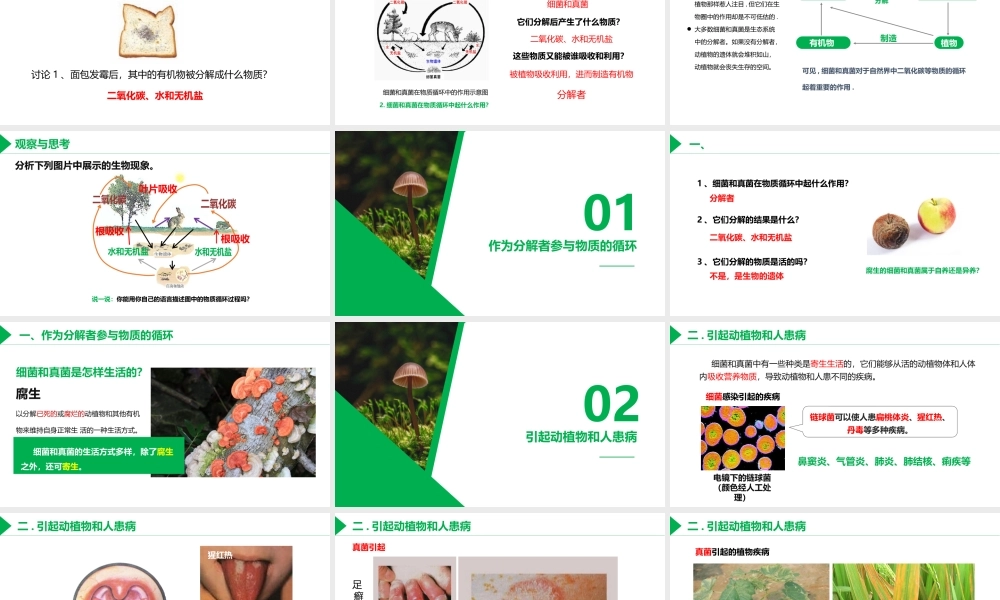 人教版八年级生物上册第四章第四节细菌和真菌在自然界的作用PPT模板.pptx
