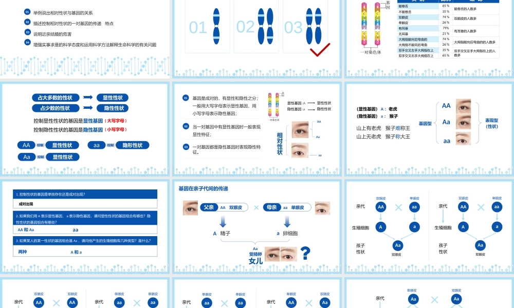 人教版八年级生物下册课件基因的显性和隐性PPT模板.pptx