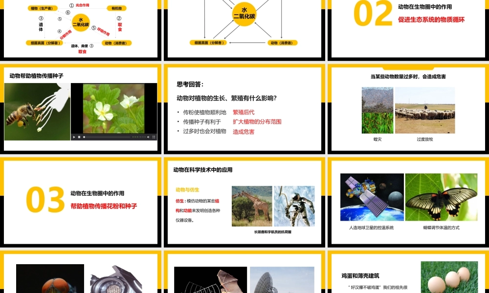 人教版八年级生物上册第五单元动物在生物圈中的作用PPT模板.pptx