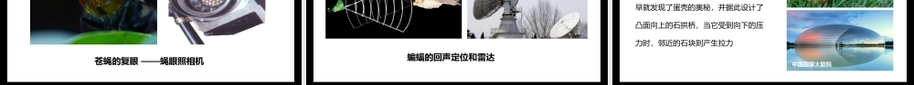 人教版八年级生物上册第五单元动物在生物圈中的作用PPT模板.pptx