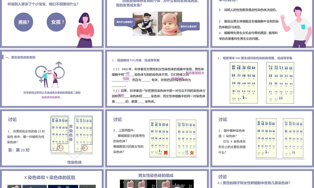 人教版八年级生物下册人的性别遗传课件PPT模板.pptx