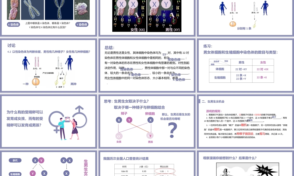 人教版八年级生物下册人的性别遗传课件PPT模板.pptx