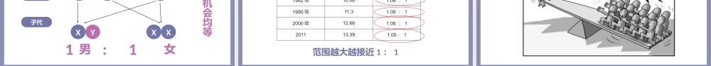 人教版八年级生物下册人的性别遗传课件PPT模板.pptx