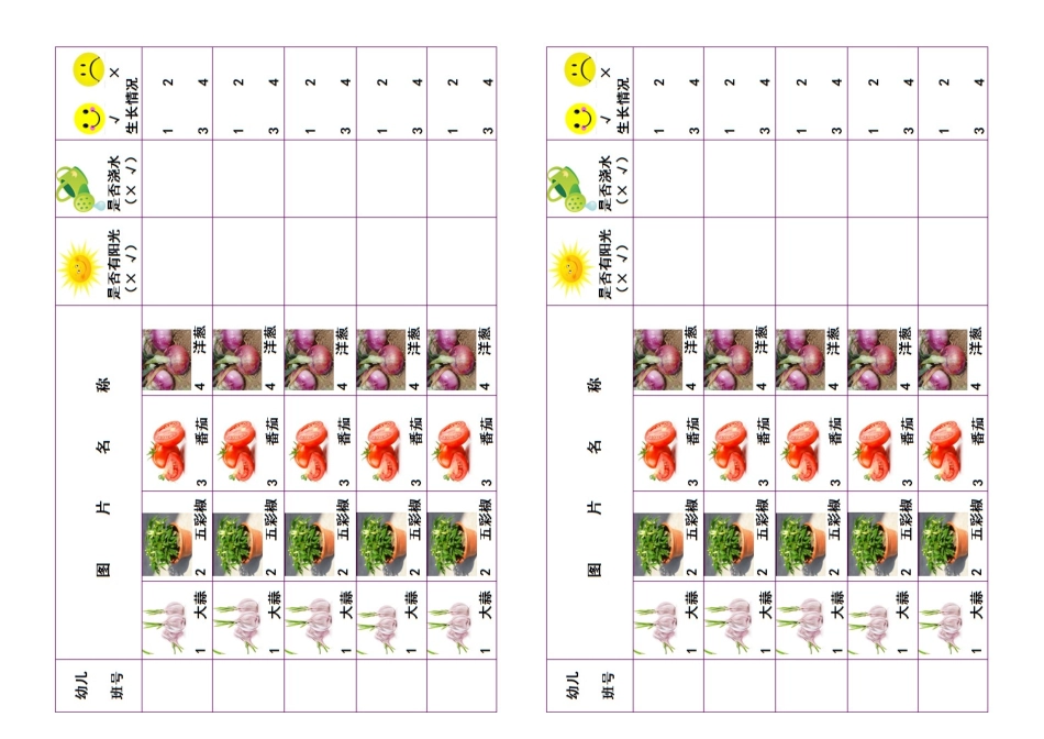 幼幼教22儿园植物观察记录表5.doc_第2页