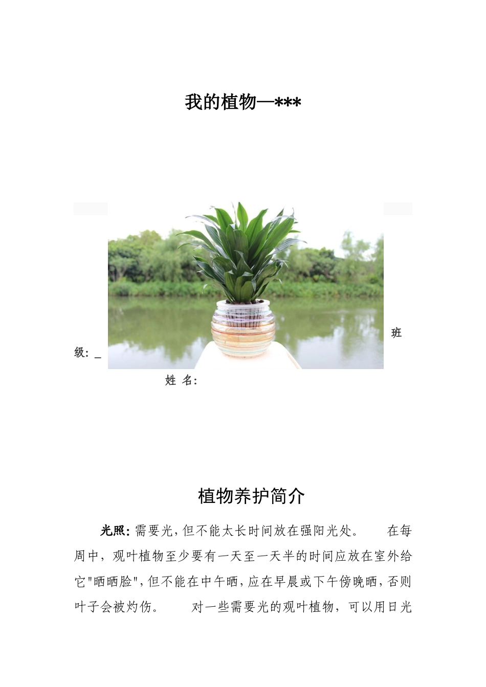幼幼教托班儿园植物观察记录表.doc_第1页