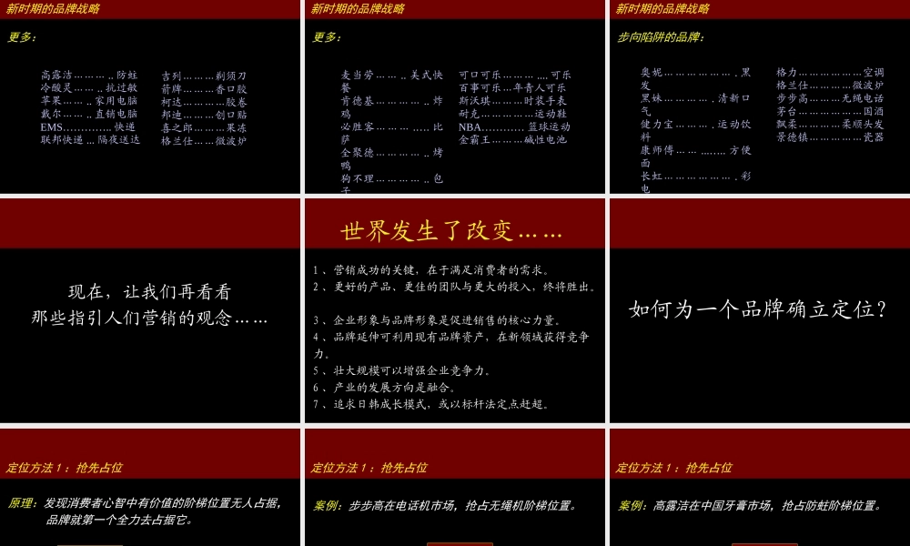 品牌培训Trout & Partners特劳特定位致胜.ppt