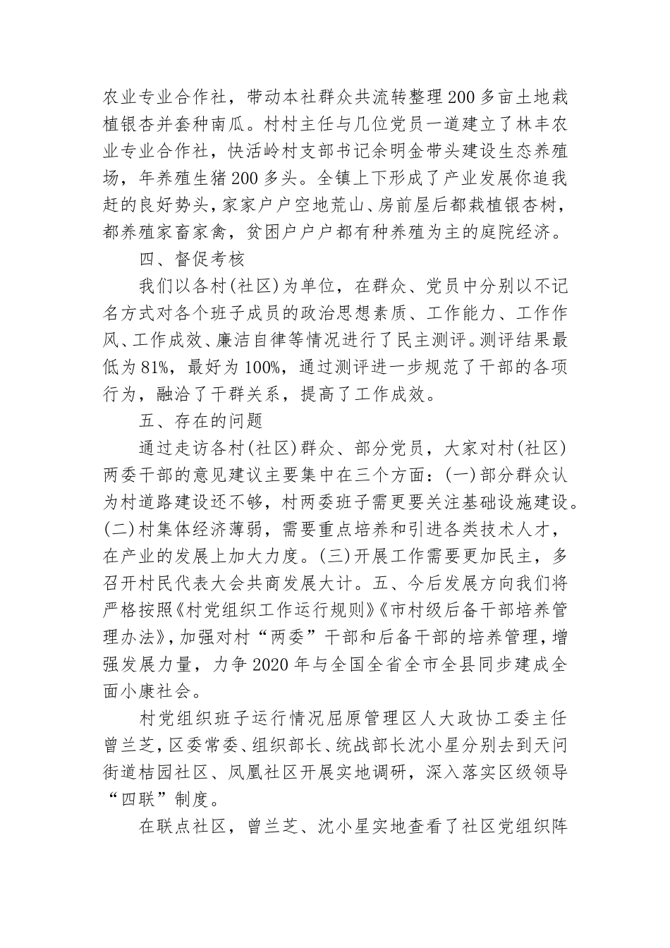 村党组织班子运行情况.doc_第2页